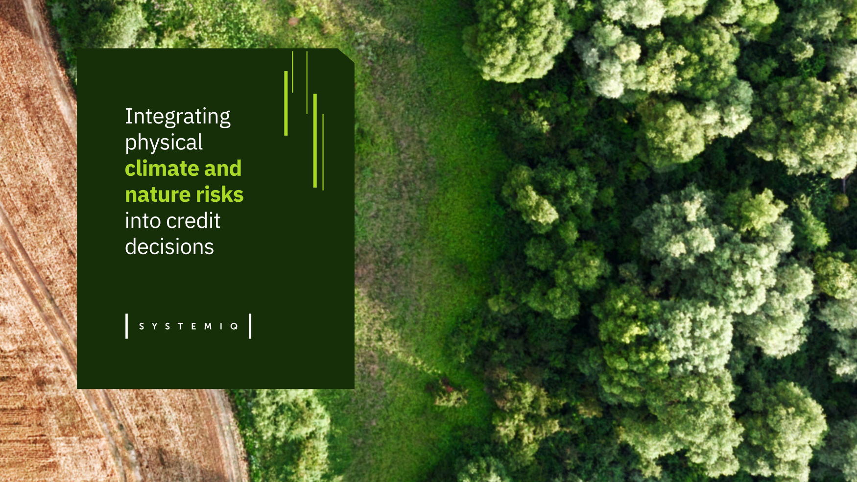 Integrating Physical Climate and Nature Risks into Credit Decisions