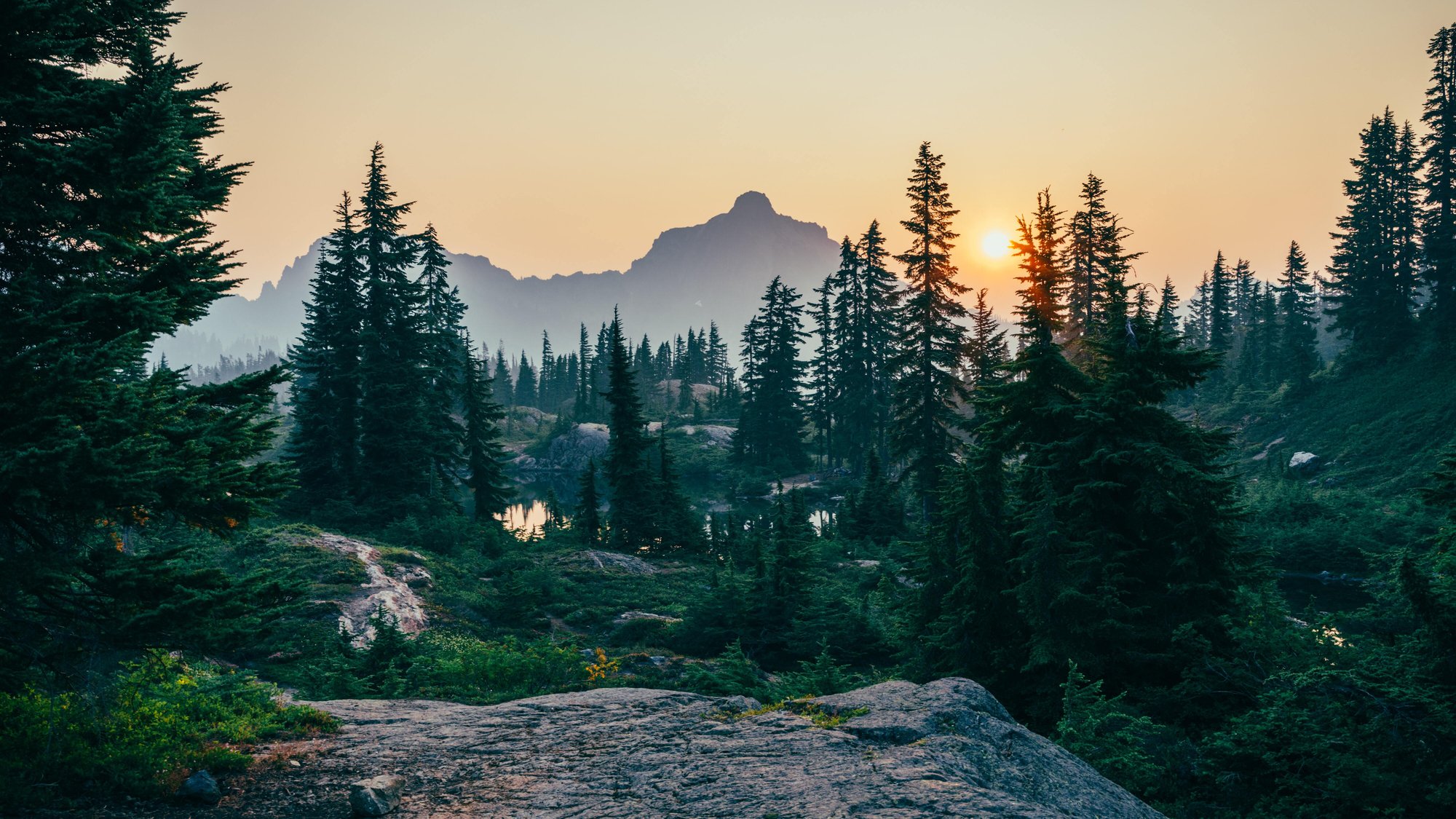 image_unsplash_free